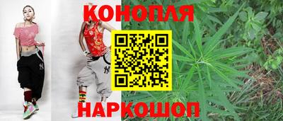 гашик Донецк
