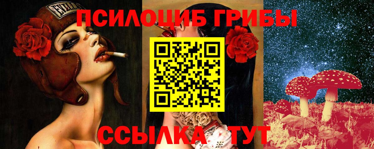 Галлюциногенные грибы Psilocybine cubensis  Вход с VPN  Галлюциногенные грибы Psilocybine cubensis  Мурино 